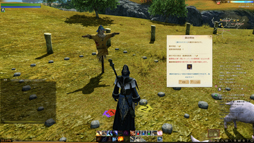 ꡼ No.010 | MMORPGǡԡɤȤ뤳ȡArcheAgeפˤƥ̥Ϥ򤢤餿ƾҲ𤷤Ƥߤ褦