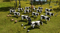 ꡼ No.030 | MMORPGǡԡɤȤ뤳ȡArcheAgeפˤƥ̥Ϥ򤢤餿ƾҲ𤷤Ƥߤ褦