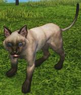 ꡼ No.003Υͥ / ArcheAgeפ7̵ǥץ쥤Ǥ֥륫७ڡפ»