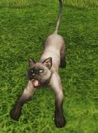 ꡼ No.004Υͥ / ArcheAgeפ7̵ǥץ쥤Ǥ֥륫७ڡפ»