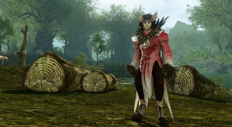 ꡼ No.009Υͥ / ArcheAgeסǡֺʵǽפ֥졼󥰥פɲä륢åץǡ;ϡưζնʡפκǿ