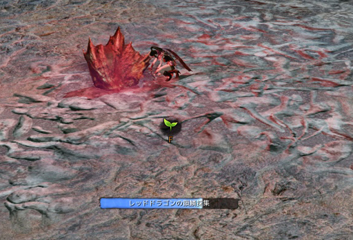 ꡼ No.029 | ǶΥ󥹥סMMORPGArcheAge׼緿åץǡȡ󤯿糤ԥץ쥤ݡ