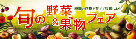 #006Υͥ/ArcheAgeפåץǡȤ»ܡʡֹפ俷ڴ֥ե꡼ɥפо