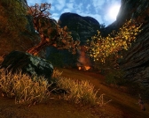 #012Υͥ/ArcheAgeס緿åץǡȡ֥פ4祤٥Ȥ