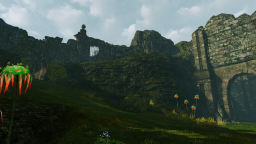 ꡼ No.033 | ͺƥ佻եबArcheAge緿åץǡȡֿʤͺãפԥץ쥤ͺȤȤȴ褦