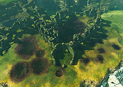 ꡼ No.008Υͥ / ArcheAgeפ緿åץǡȡֿʤͺãפϡֱͺסַʪѹץƥࡤ֥Ȳϡפ3