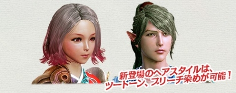 ꡼ No.007Υͥ / ArcheAgeפ427»ͽμåץǡȡ֥Υ륿ηפߥȤХ˥ơͿǤ뿷ƥξʤɤ