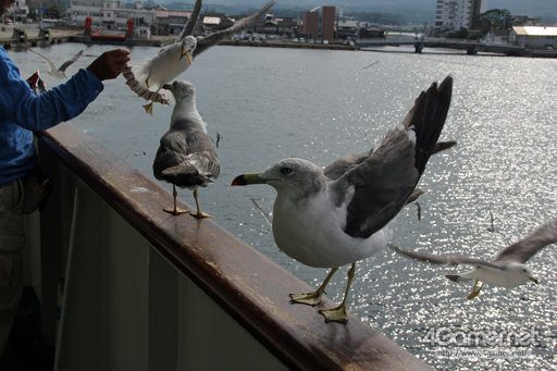 ꡼ No.044Υͥ / 󥸥ֺ϶⻳פĩ MMORPGArcheAgeפΥե饤󥤥٥ȡ֥륷PȹԤĥפƱԤƤߤ