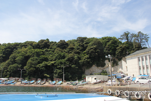 ꡼ No.050Υͥ / 󥸥ֺ϶⻳פĩ MMORPGArcheAgeפΥե饤󥤥٥ȡ֥륷PȹԤĥפƱԤƤߤ