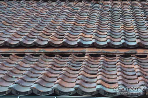 ꡼ No.053Υͥ / 󥸥ֺ϶⻳פĩ MMORPGArcheAgeפΥե饤󥤥٥ȡ֥륷PȹԤĥפƱԤƤߤ