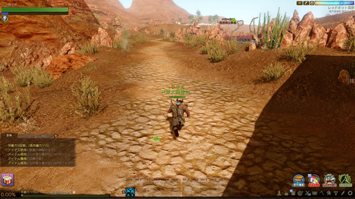 ꡼ No.013Υͥ / ܡϼºߤ!? Ƕˤ륹꡼ѡۡɤ줿ArcheAgeץܡθ