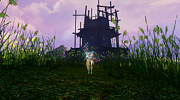  No.011Υͥ / ArcheAge׿쥤ɥܥ֥꡼ץץ쥤ݡȡؤ줿ˡĻȤ絬Ϥ褬Ϥޤ롪