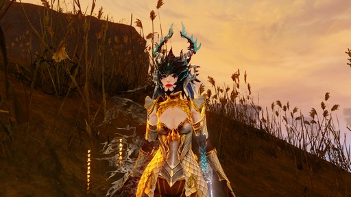 ꡼ No.039 | ArcheAge׿쥤ɥܥ֥꡼ץץ쥤ݡȡؤ줿ˡĻȤ絬Ϥ褬Ϥޤ롪