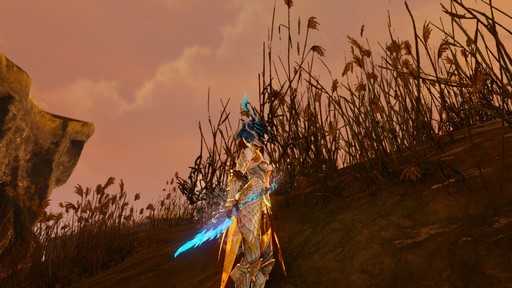 ꡼ No.041 | ArcheAge׿쥤ɥܥ֥꡼ץץ쥤ݡȡؤ줿ˡĻȤ絬Ϥ褬Ϥޤ롪