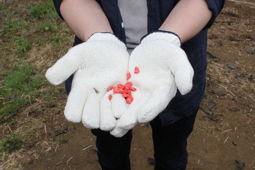 ꡼ No.017Υͥ / ArcheAgeס2017ǯΥɥޥåפArcheAgeΥåץǡȤϡٻλϼǲ᤯