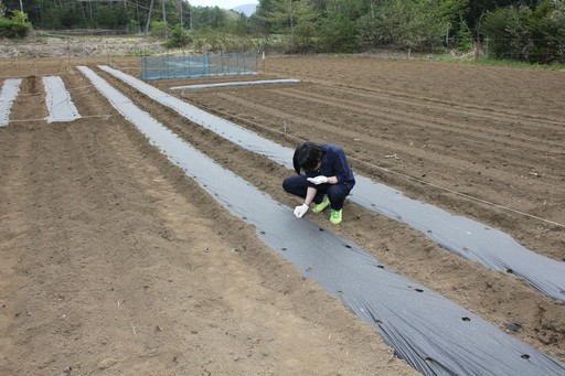 ꡼ No.019Υͥ / ArcheAgeס2017ǯΥɥޥåפArcheAgeΥåץǡȤϡٻλϼǲ᤯