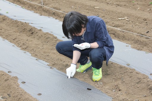 ꡼ No.002Υͥ / ϺפBBQڤArcheAgeץե饤󥤥٥Ȥݡȡ5˼Ϥɤʡȼ¡ɤդΤ