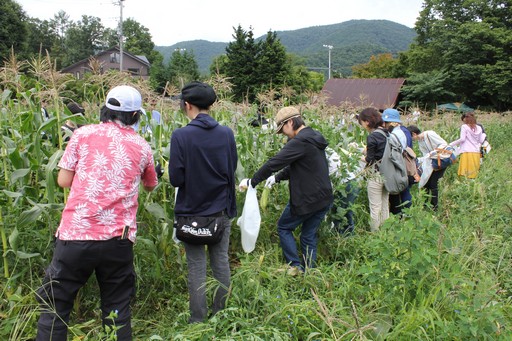 ꡼ No.010Υͥ / ϺפBBQڤArcheAgeץե饤󥤥٥Ȥݡȡ5˼Ϥɤʡȼ¡ɤդΤ