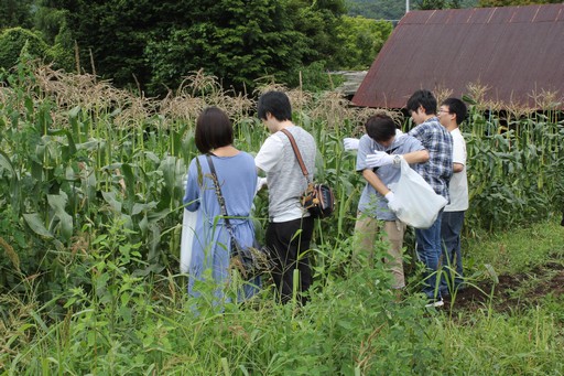 ꡼ No.012Υͥ / ϺפBBQڤArcheAgeץե饤󥤥٥Ȥݡȡ5˼Ϥɤʡȼ¡ɤդΤ