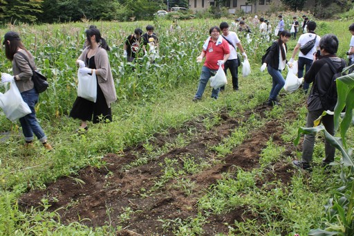 ꡼ No.013Υͥ / ϺפBBQڤArcheAgeץե饤󥤥٥Ȥݡȡ5˼Ϥɤʡȼ¡ɤդΤ