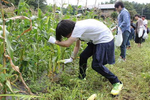 ꡼ No.014Υͥ / ϺפBBQڤArcheAgeץե饤󥤥٥Ȥݡȡ5˼Ϥɤʡȼ¡ɤդΤ
