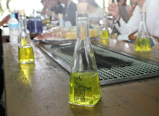 ꡼ No.017Υͥ / ϺפBBQڤArcheAgeץե饤󥤥٥Ȥݡȡ5˼Ϥɤʡȼ¡ɤդΤ