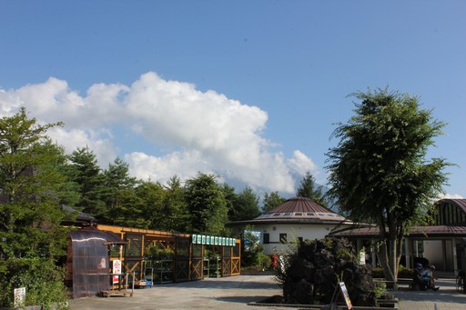 ꡼ No.029Υͥ / ϺפBBQڤArcheAgeץե饤󥤥٥Ȥݡȡ5˼Ϥɤʡȼ¡ɤդΤ