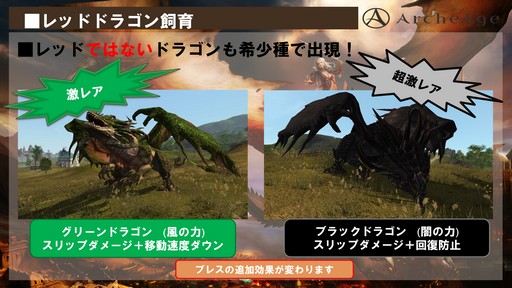 ꡼ No.007 | ArcheAge緿åץǡȡArcheAge4.5 θưץץ쥤ݡȡ6ΤΥɥ饴󤬤Ҥ᤭礦˾Τ!?