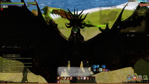 ꡼ No.040 | ArcheAge緿åץǡȡArcheAge4.5 θưץץ쥤ݡȡ6ΤΥɥ饴󤬤Ҥ᤭礦˾Τ!?