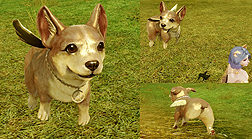 ꡼ No.011Υͥ / ArcheAgeסReեå奵СBlueSaltפΥåץǡ1Ƥ»ܡΦΰ䥨ڥꥦʤɤ