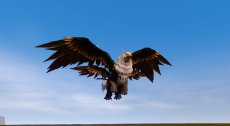 ���������꡼ No.005�Υ���ͥ������ / ��ArcheAge�פ��緿���åץǡ��ȡ�5.0�פ������������ֺ���60�󥬥���פʤɤε�ǰ�����ڡ����
