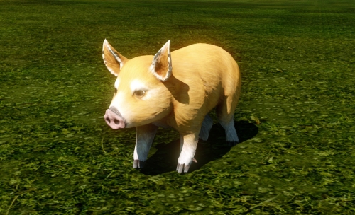 画像ギャラリー No.003のサムネイル画像 / 「ArcheAge」で2018年を締めくくるカウントダウンイベントが開催