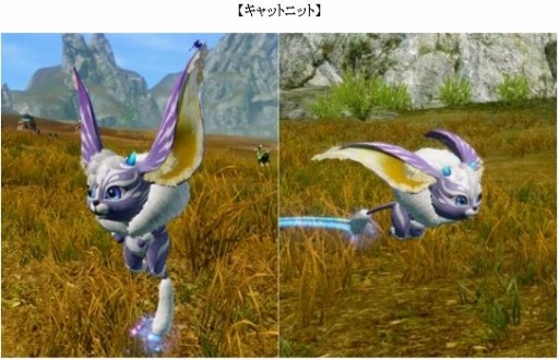 ꡼ No.008 | ArcheAgeסȥ쥸㡼ܥåˡȿΦξѥ˷ڥåȡɤо