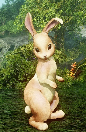 画像ギャラリー No.004のサムネイル画像 / 「ArcheAge」,新規キャラ作成でアイテムをもらえるキャンペーンが開催