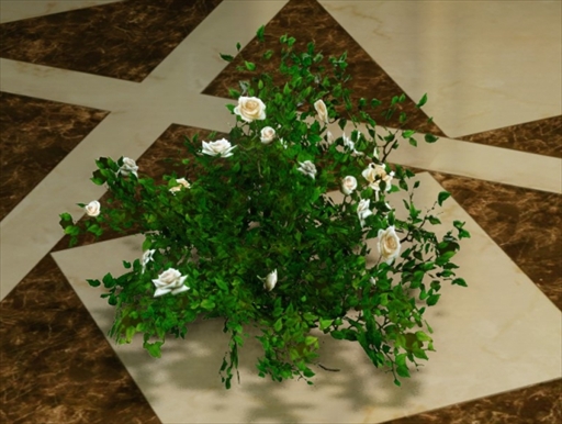 画像ギャラリー No.006のサムネイル画像 / 「ArcheAge」,ジューンブライドにちなんだイベント「永遠の誓い」が開催