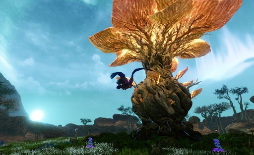 ꡼ No.019 | ArcheAge׼åץǡȡArcheAge6.5 ץץ쥤ݡȡ˹Τϥե󥿥åʷϵĽä