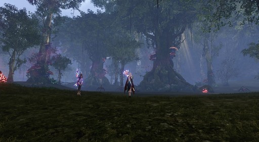 ꡼ No.039 | ArcheAge׼åץǡȡArcheAge6.5 ץץ쥤ݡȡ˹Τϥե󥿥åʷϵĽä