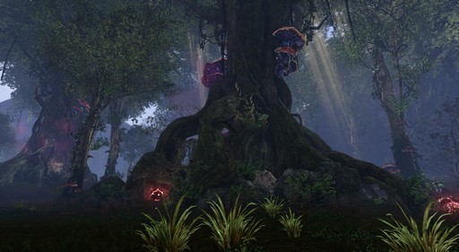 ꡼ No.041 | ArcheAge׼åץǡȡArcheAge6.5 ץץ쥤ݡȡ˹Τϥե󥿥åʷϵĽä