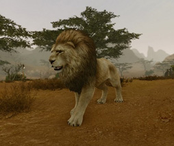 画像ギャラリー No.005のサムネイル画像 / 「ArcheAge」,イベント「十二宮の星座祭」が開催。新たなサーバー「フロンティア」がオープン