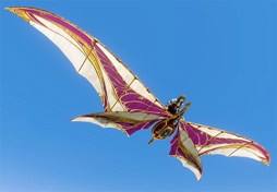 画像ギャラリー No.009のサムネイル画像 / 「ArcheAge」,UPDATE「狂愛の海賊」を実施。「モルぺウス」と「ラングレイ」が強力な姿となって登場