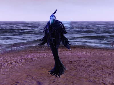 ꡼ No.006Υͥ / ArcheAgeסȶʤɤ륤٥ȡȥꥢΥ󥵡ȡɤ