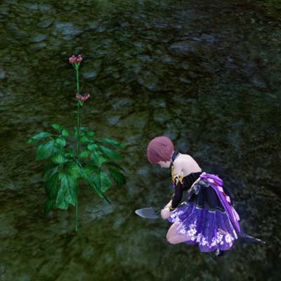 ꡼ No.004Υͥ / ArcheAgeס٥ȡȥҥΥǹΥ󥵡ɡȵΦλ˥󥸥ɤ