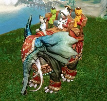 ꡼ No.006 | ArcheAgeפǥϥƥܥƥϿArcheAge BOX2021ߡɤо