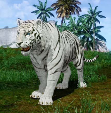 ꡼ No.005 | ArcheAgeס٥ȡǯǯϡմԸץ쥼ȡɤ򳫺šֿäηиȢפγ