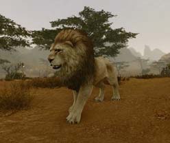 画像ギャラリー No.005のサムネイル画像 / 「ArcheAge」,イベント“十二宮の星座祭”を実施。「トレジャーボックス」第51弾&第53弾が再登場