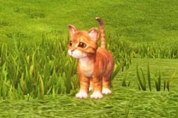 ꡼ No.003Υͥ / ArcheAgeס٥ȡȥΤɤȡ֥Τݡפγ