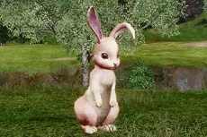 ꡼ No.008 | ArcheAgeסСоݤȤС»ܡǥƥब館ץ쥼ȥ٥2Ƥ