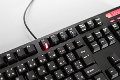 ꡼ No.005 | ZOWIE CELERITASץӥ塼㼴ѤΥޡᥫ˥륭ܡɤϷڤǸȥ쥹ݥ󥹤Τ褵