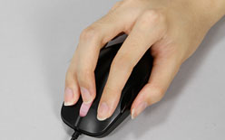 ꡼ No.015 | ZOWIE GEARξ̥ޥMiCOץӥ塼RTSפFPSǤ⽽ʬȤ