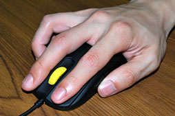 ꡼ No.019 | ZOWIEοޥFKץӥ塼Counter-StrikeΥ쥸ɤƽϡ٤ʤ⤤